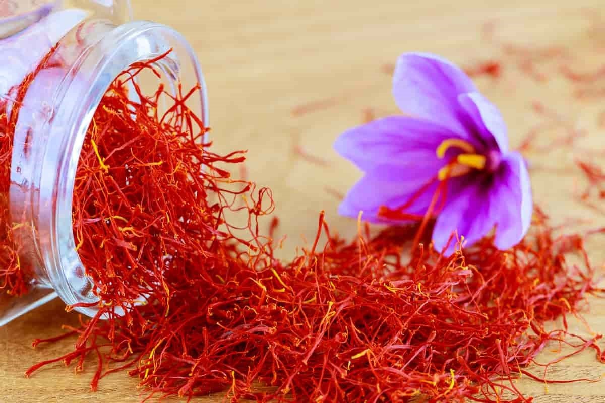 زعفران