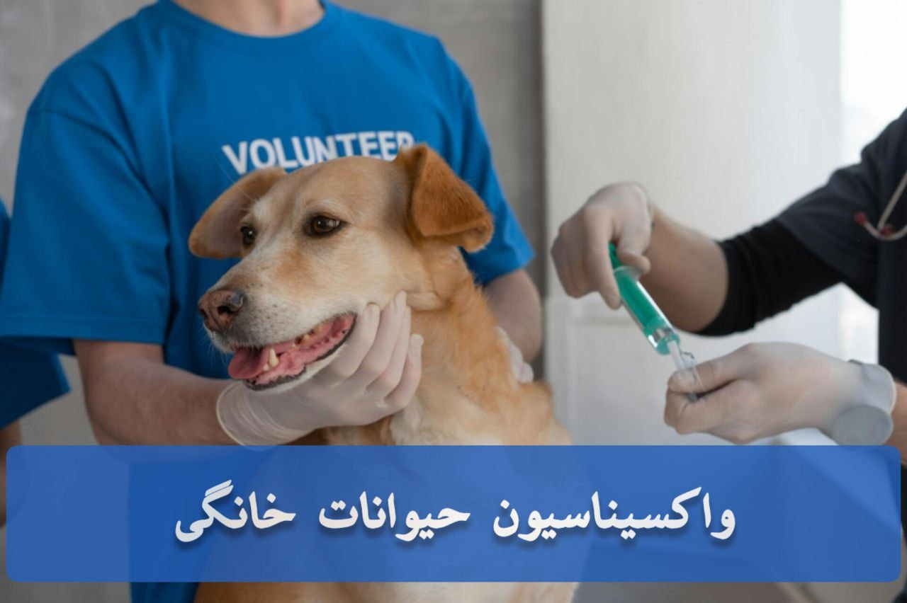 ارسال حیوانات خانگی از ایران به عمان