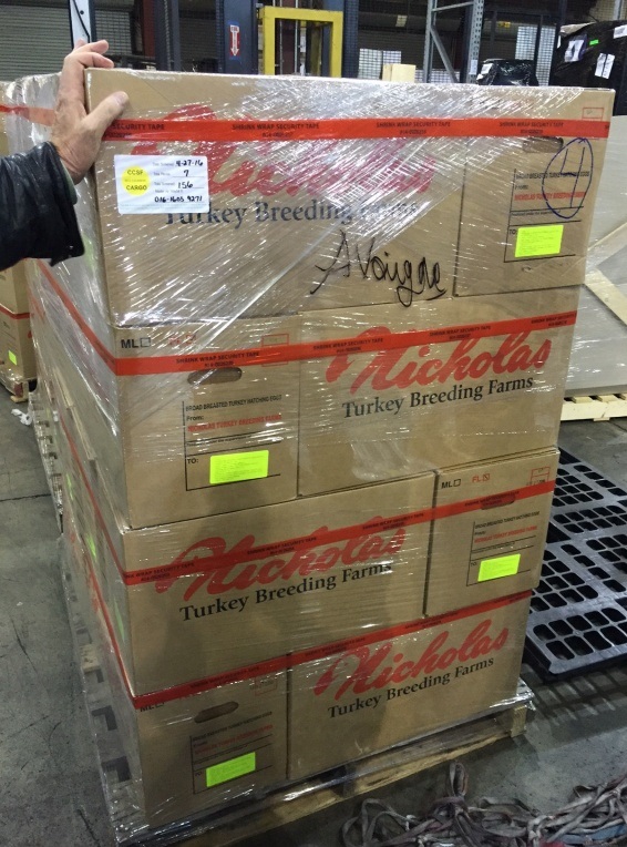 بسته بندی حمل هوایی