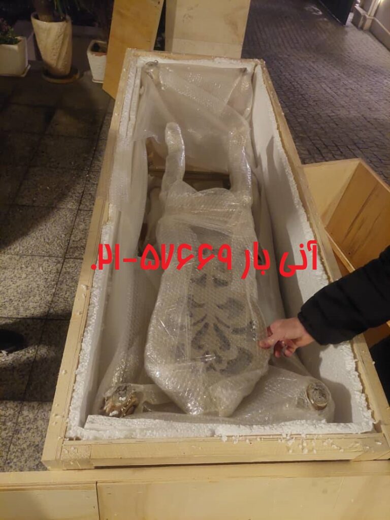 آقای ولی نژاد هوایی سوئیس