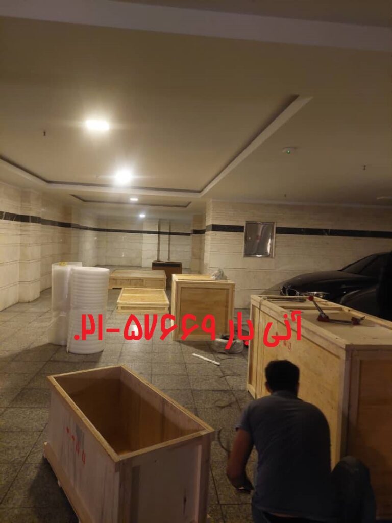 خانم فرزانه هوایی سوئیس 2