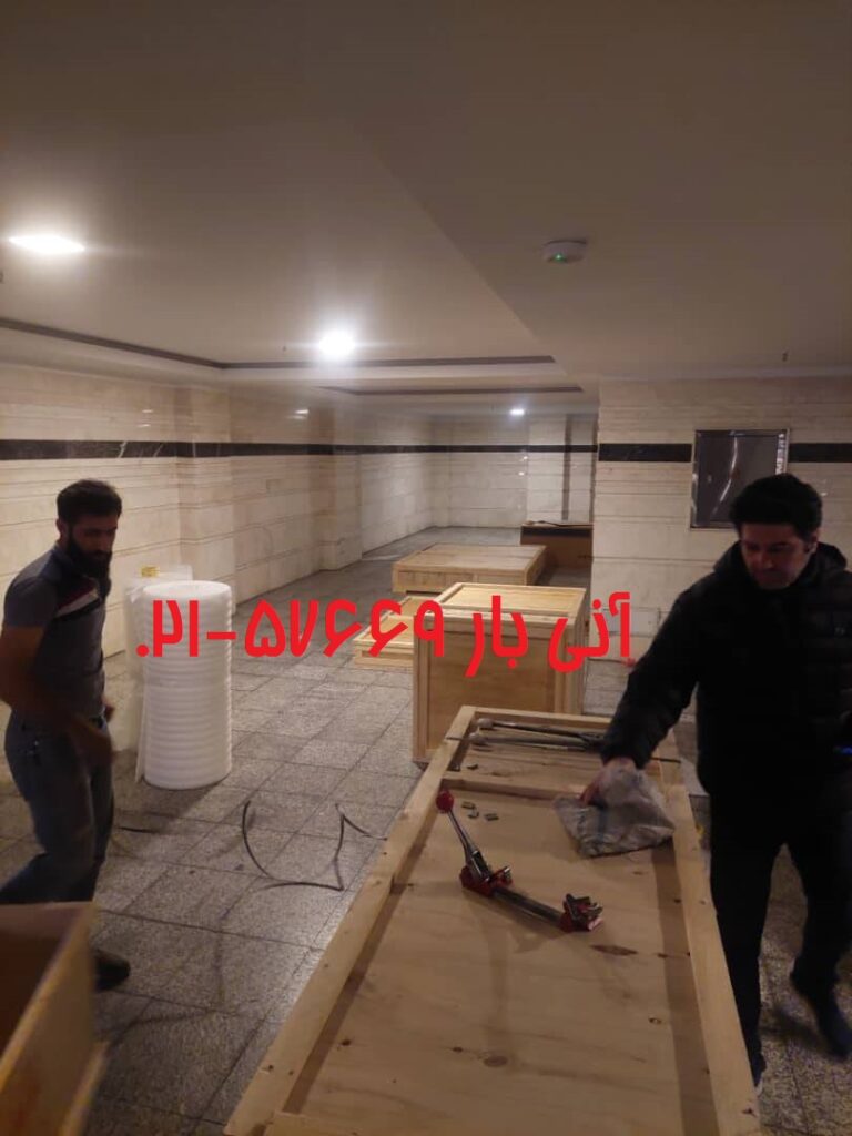 خانم فرزانه هوایی سوئیس