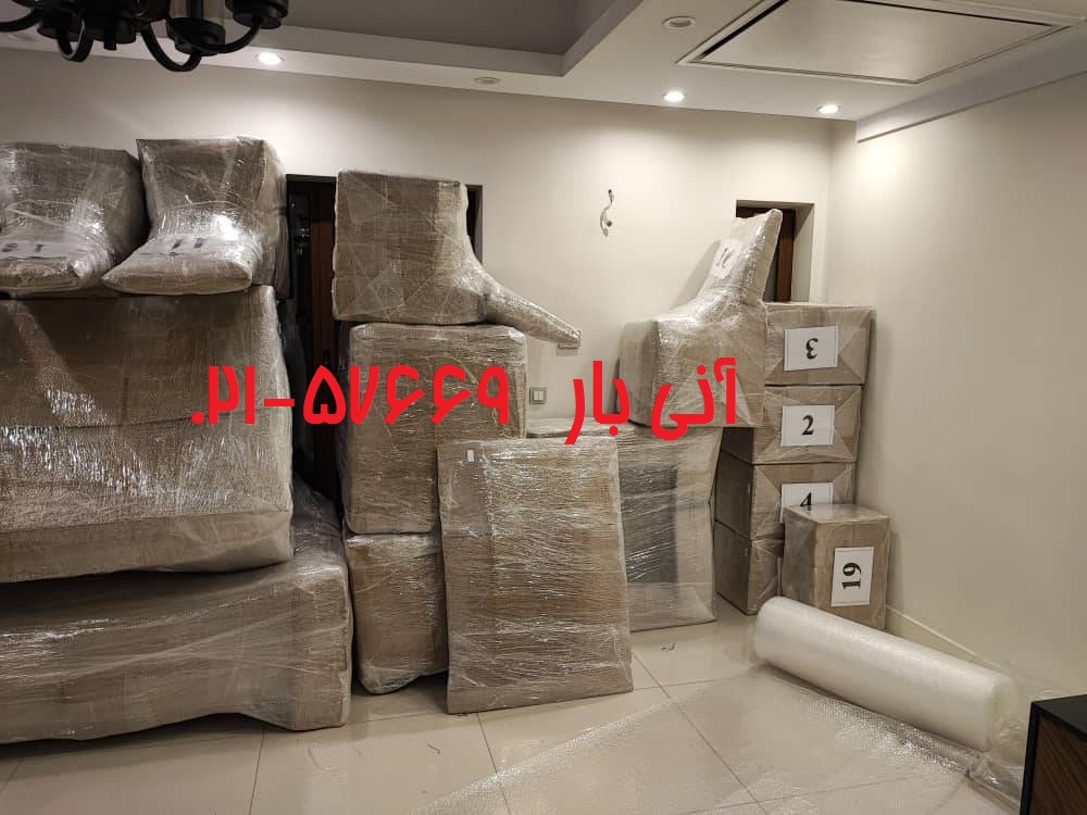 خانم مفیدی دریایی قطر