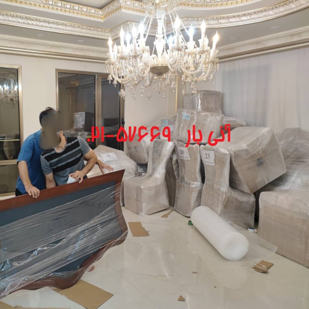 خانم مفیدی دریایی قطر4