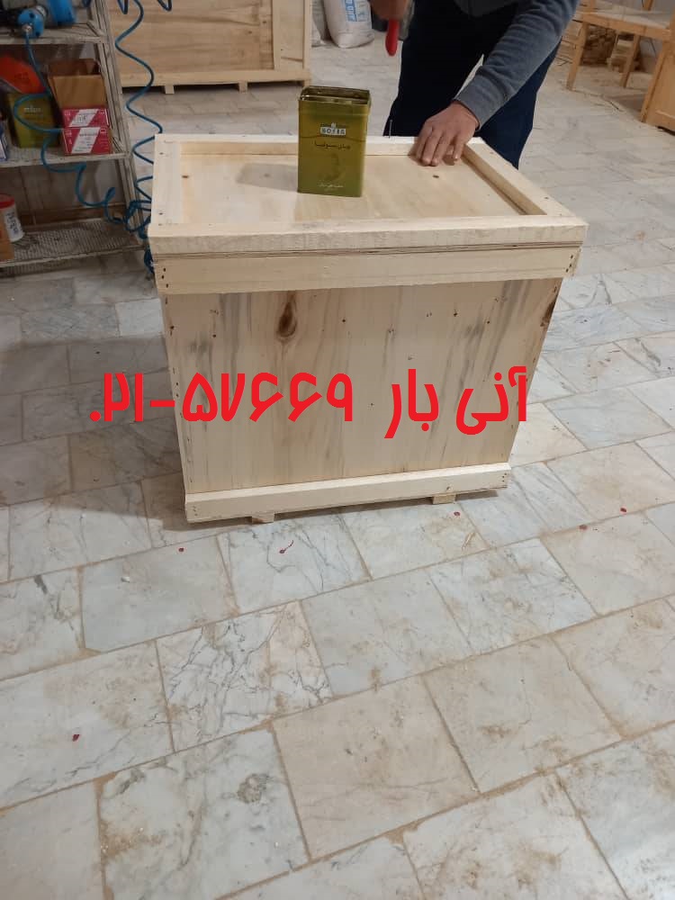 خانم هاشمی هوایی نروژ