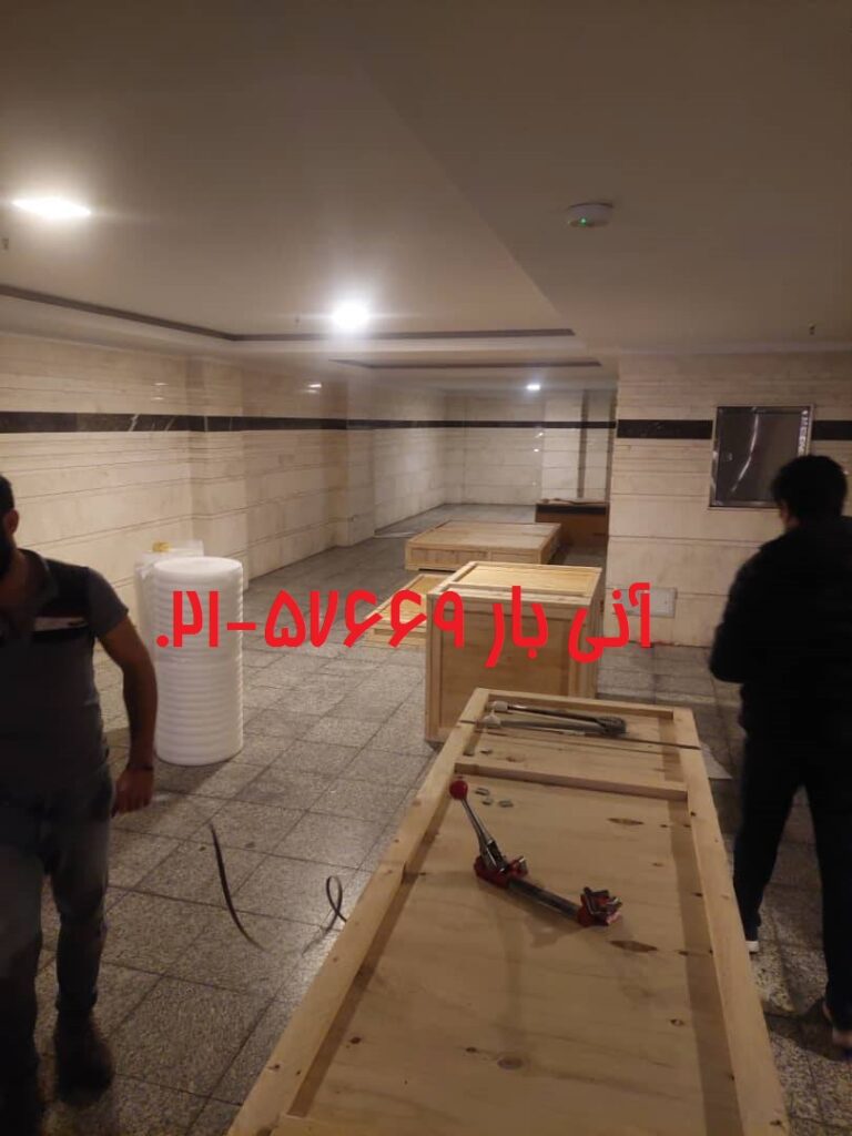 محموله خانم فرزانه هوایی سوئیس 3