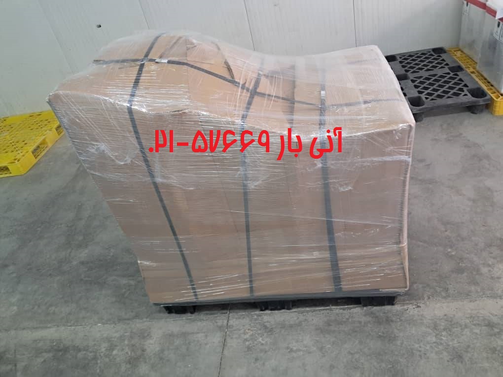 داوودی استکهلم