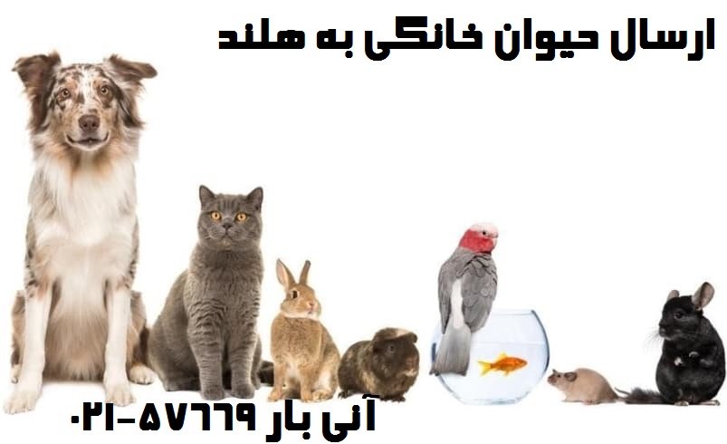 ارسال حیوان به هلند